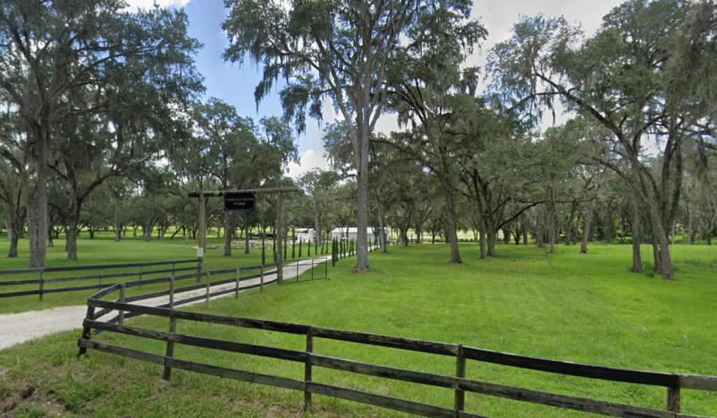 Andalusian Oaks is a wedding venue near Gainesville, FL