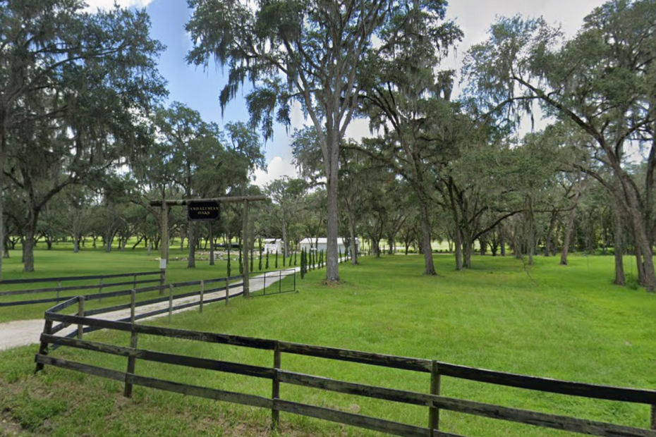 Andalusian Oaks is a wedding venue near Gainesville, FL