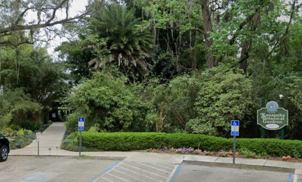 Kanapaha Botanical Gardens has many beautiful outdoor areas as well as the Summer House available for your Gainesville wedding.