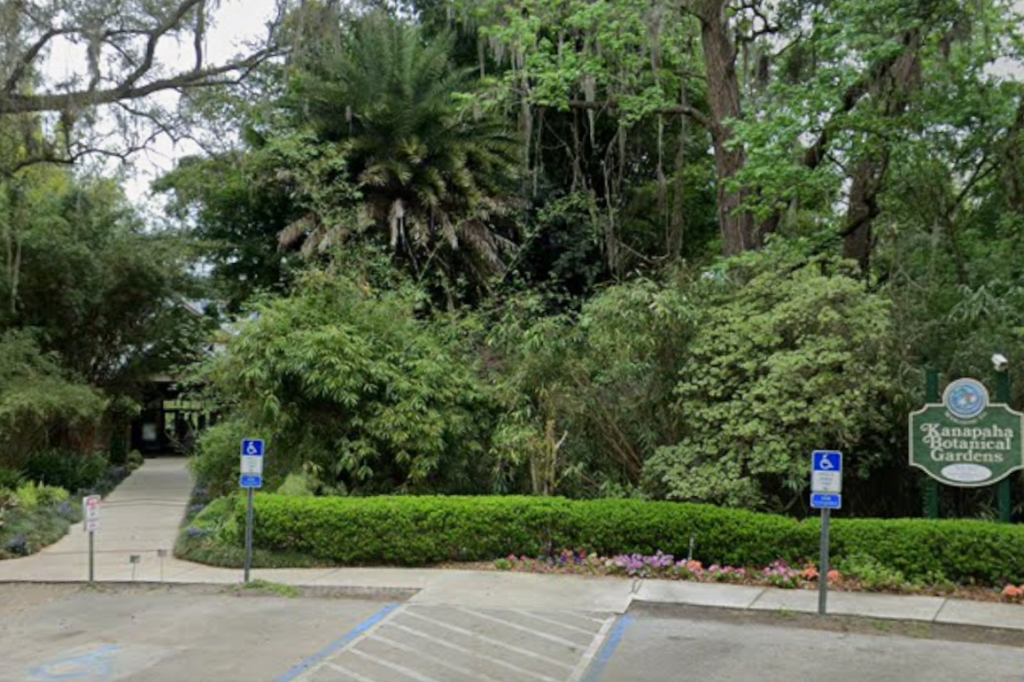 Kanapaha Botanical Gardens has many beautiful outdoor areas as well as the Summer House available for your Gainesville wedding.